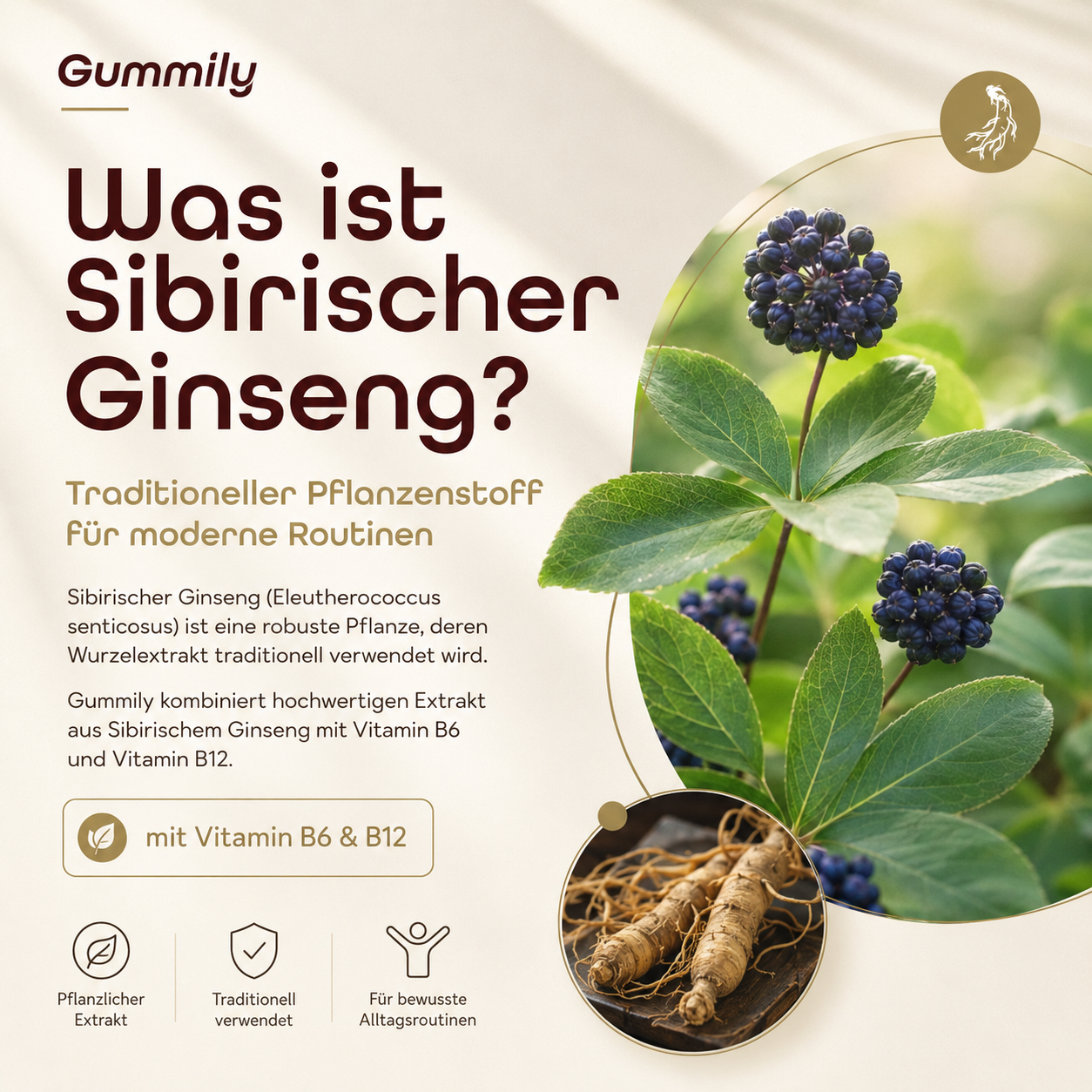 Siberian Ginseng Gummies